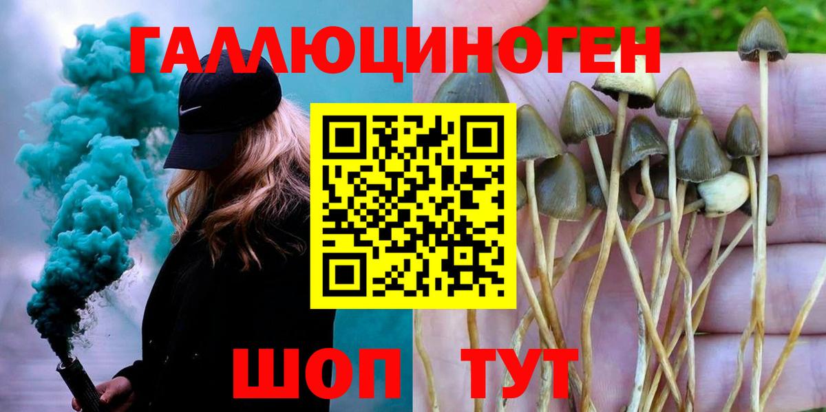 Волгоград  Псилоцибиновые грибы прущие грибы  Галлюциногенные грибы MAGIC MUSHROOMS  Вход с VPN 